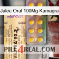 Oral Jelly 100Mg Kamagra new06